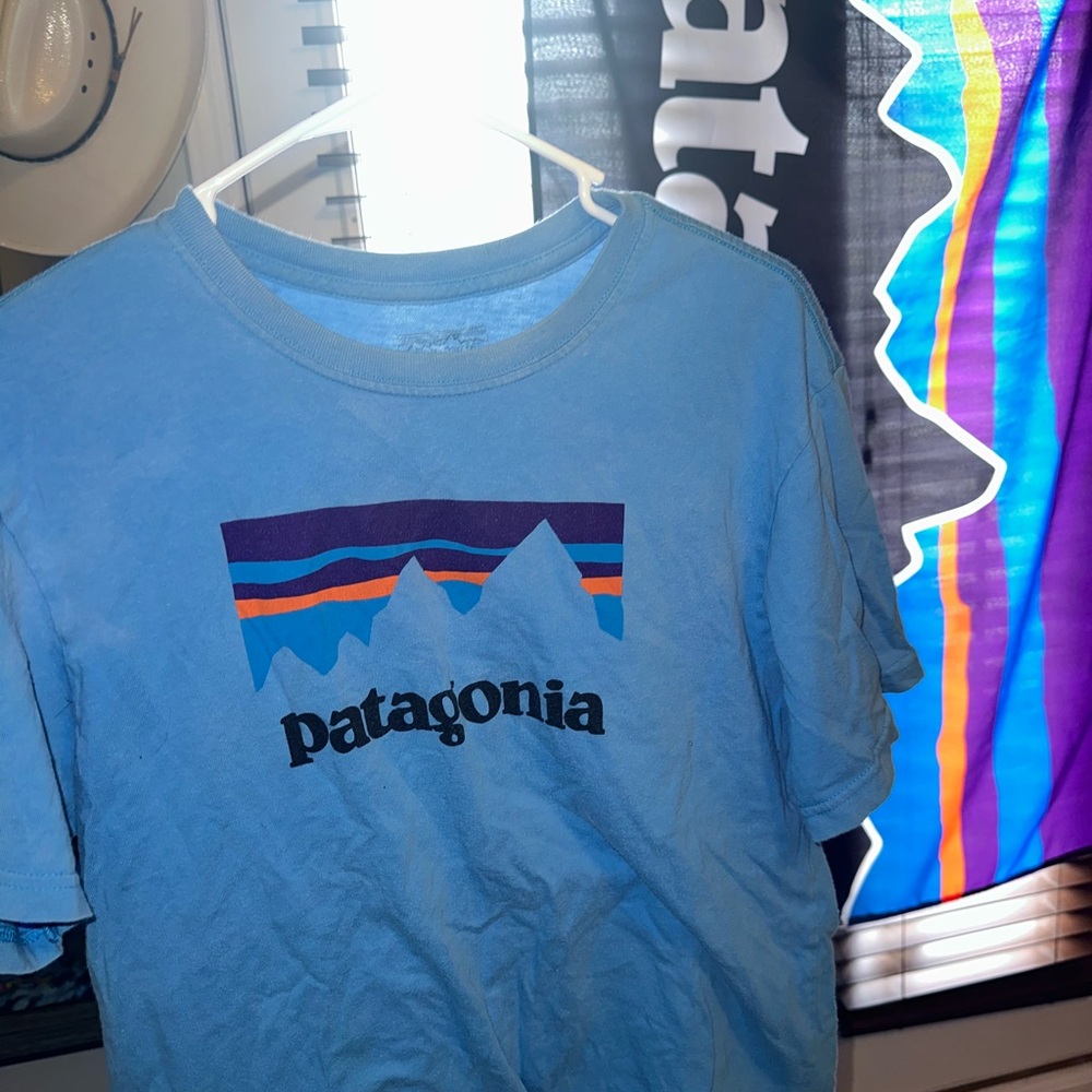 Patagonia blue shirt